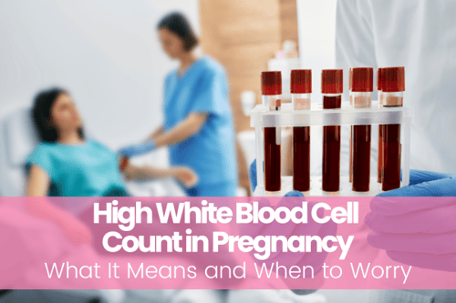 High White Blood Cell Count in Pregnancy: What It Means and When to Worry