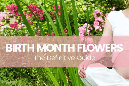 Birth Month Flowers: The Definitive Guide