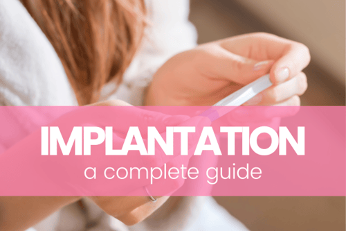 Your Guide to Implantation and Pregnancy