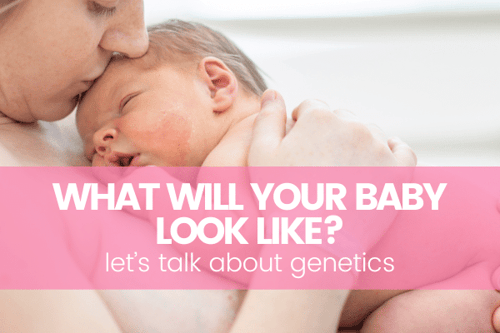 What Will My Baby Look Like?